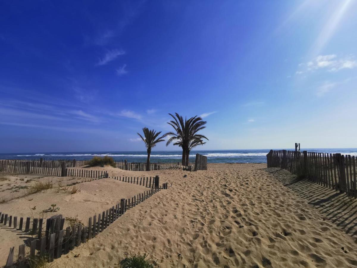Soleil Levant 2 - En Bord De Mer - Superbe Appartement Cosy - Acces Direct Plage - Proche Commerces Et Animations Ле Баркарес Экстерьер фото